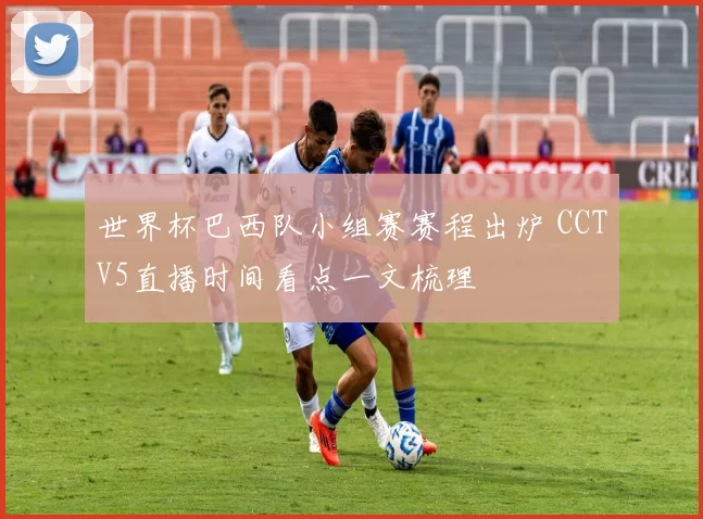世界杯巴西队小组赛赛程出炉 CCTV5直播时间看点一文梳理