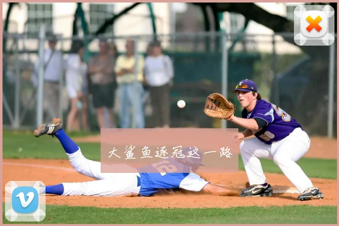 大鲨鱼逐冠这一路